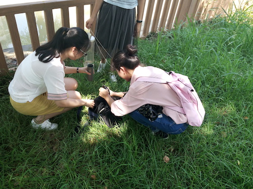 7月10日 成人小说
 赴嘉兴“青水”小分队实地考察并采样3