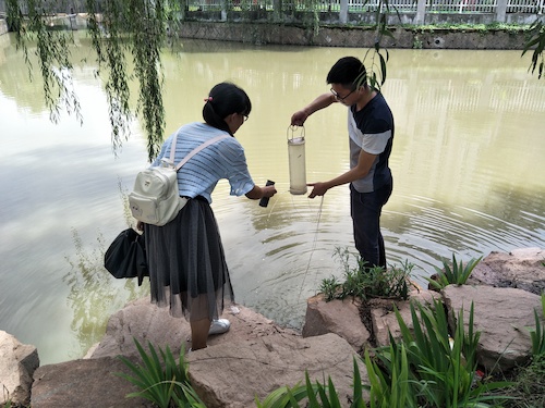 7月10日 成人小说
 赴嘉兴”青水“小分队 采样