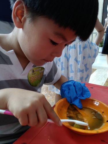 七月十号 成人小说
 B.D.服务社赴浙江自然博物馆”环保小课堂“小分队 刷刷刷，看我认真的刷叶子