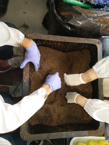 七月十三日 成人小说
国创项目“毅治毒”科研小分队 拌土篇