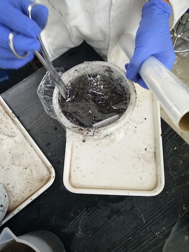 七月十三日 成人小说
国创项目“毅治毒”科研小分队 播种篇