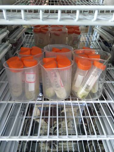 七月十三日 成人小说
  成人小说
赴杭州余杭区“五水共治”调查与研究分队社会实践小分队 酒精溶解叶绿素a 4摄氏度冷藏4小时