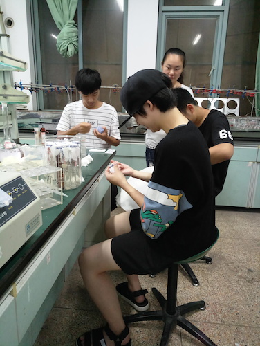 七月十三日 成人小说
  成人小说
赴杭州余杭区“五水共治”调查与研究分队社会实践小分队 总氮、总磷测定之分装试管