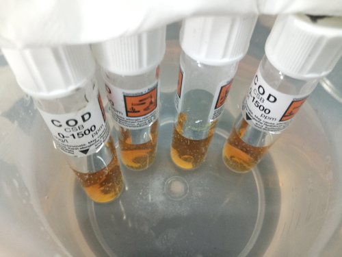 7月19日 成人小说
 赴嘉兴”青水“小分队 cod检测