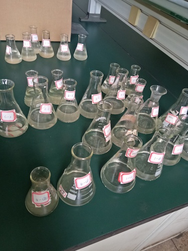 7月19日 成人小说
 赴嘉兴”青水“小分队 水样3