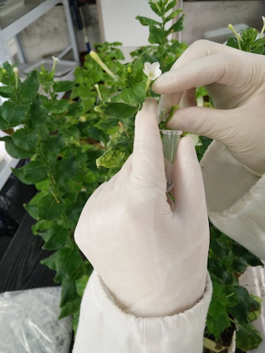 七月二十日 成人小说
国创项目“毅治毒”科研小分队 采样