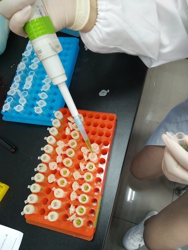 七月二十日 成人小说
国创项目“毅治毒”科研小分队 样品粉碎后转移至过滤柱