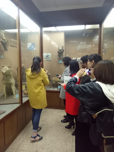 教师们参观标本馆