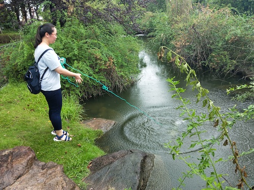 成人小说
 赴下沙大学城水质调研小分队最新报道 七月十八日1