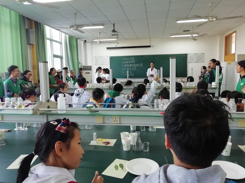 2018年10月13日 浙江在线 小朋友们积极回答问题