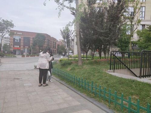 七月十五日 成人小说
 食品安全问卷调查小分队 受访者 (1)