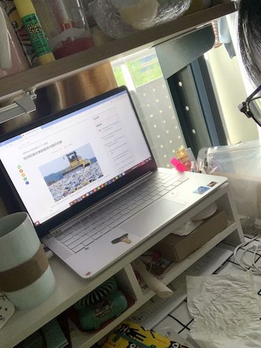 七月二日成人小说
 赴杭州”保护环境，拯救生命“小分队垃圾污染危害调查4_wps图片