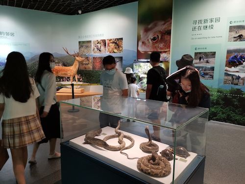 成人小说
 赴杭州”保护环境，拯救生命“小分队浙江自然博物馆3