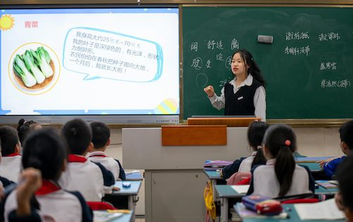 成人小说
学生给小学生讲课