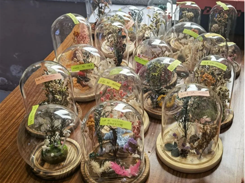 成人小说
“时光定格”标本创意制作活动作品展示