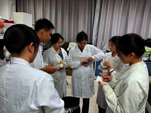 “灭虫保粮”实践团队针对调研中发现的问题展开实验研究