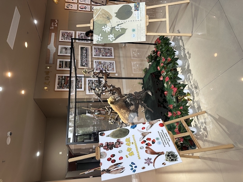 2024.10.29杭师大成人小说
“永恒芳华”植物标本展和“生命之歌”果实与种子展览1